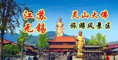 亚洲免费精品91江苏无锡灵山大佛旅游风景区